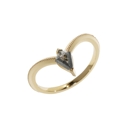 Kite-shaped Salt & Pepper Diamond 18K Gold Ring